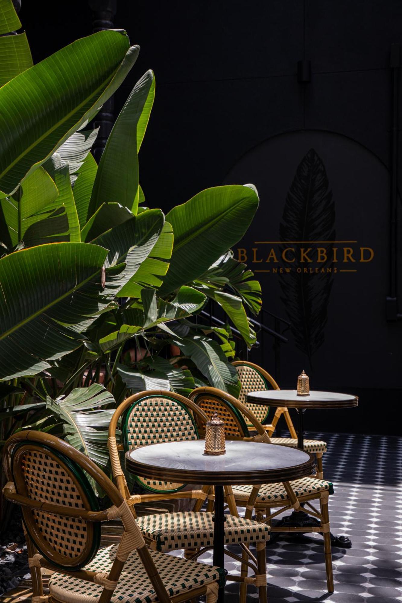 Blackbird Hotel New Orleans Exterior foto