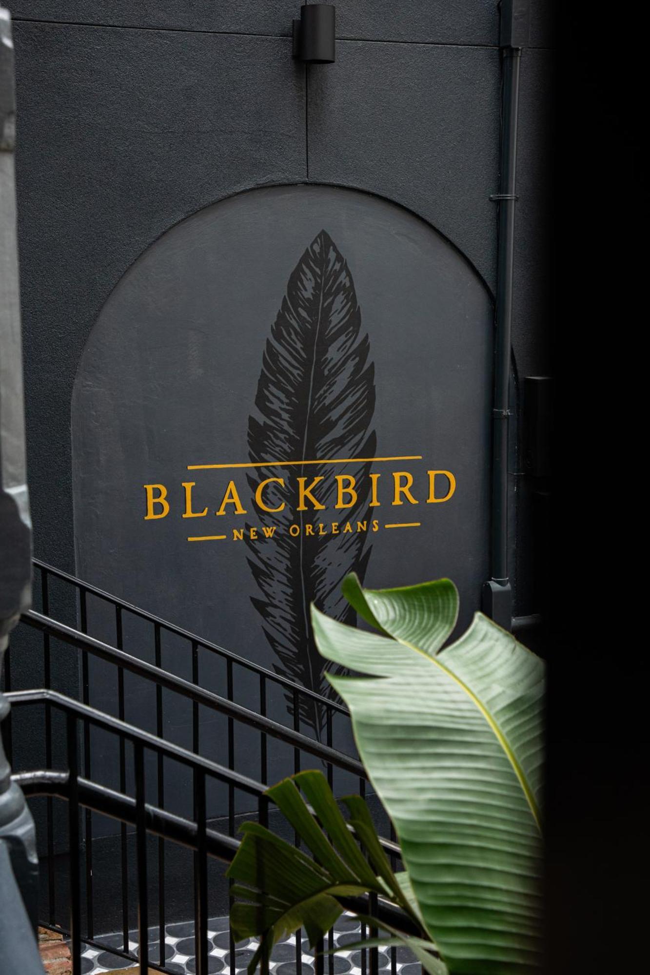 Blackbird Hotel New Orleans Exterior foto