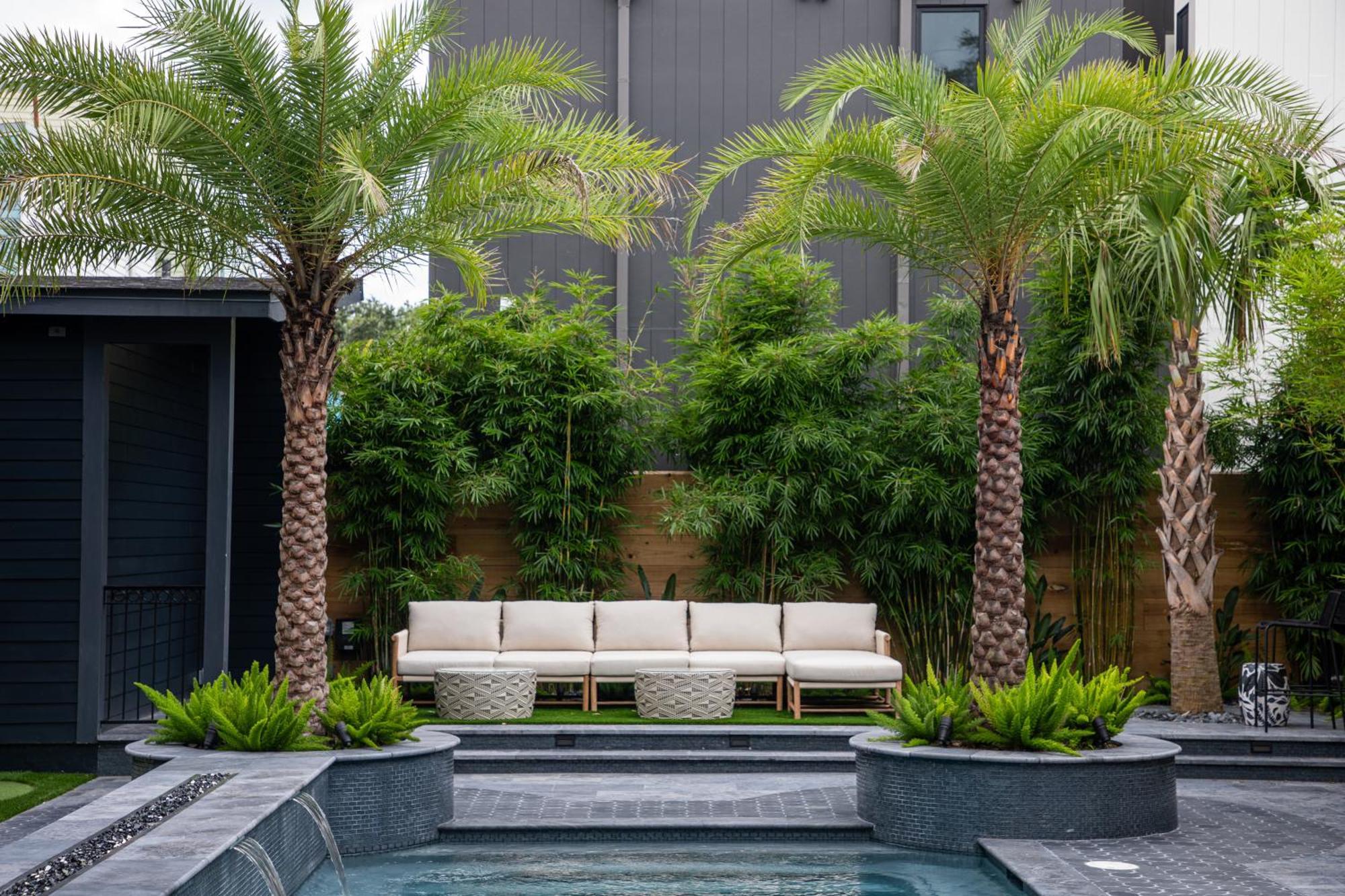 Blackbird Hotel New Orleans Exterior foto